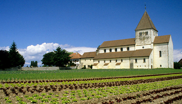 Reichenau Bodensee-Radweg