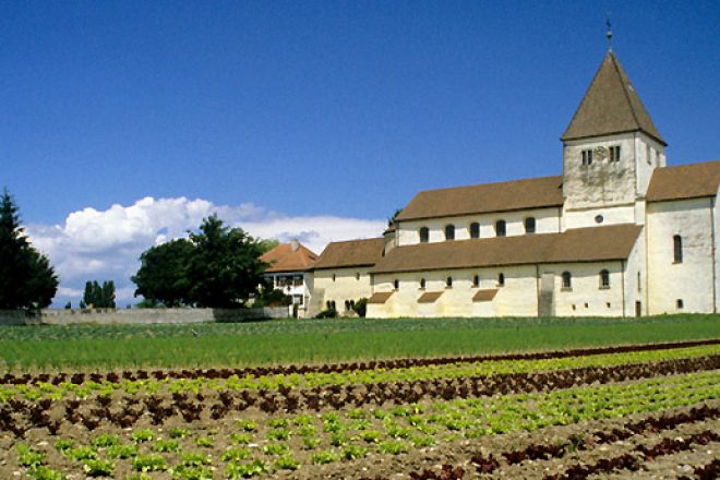 Reichenau Bodensee-Radweg